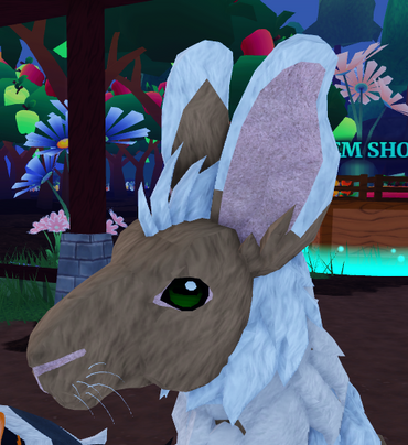 Which Ears Which Ears