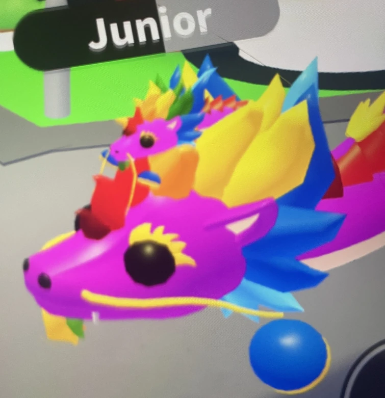 Can anyone show me what the rainbow dragon hat looks like on a pet