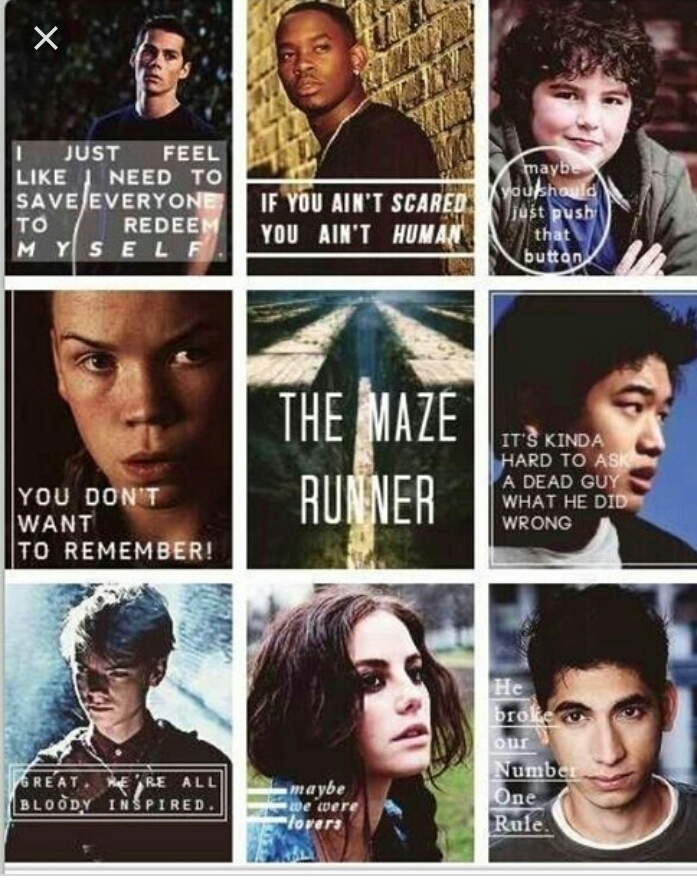 Maze Runner 4': Is It Happening? Cast Quotes, Original Books