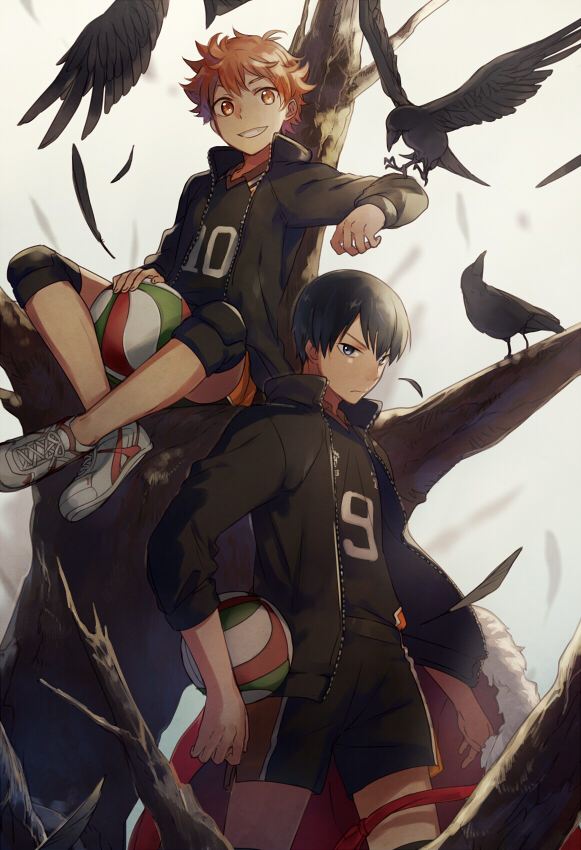 It's where your interests connect you with your people. Haikyuu Wallpapers Fandom
