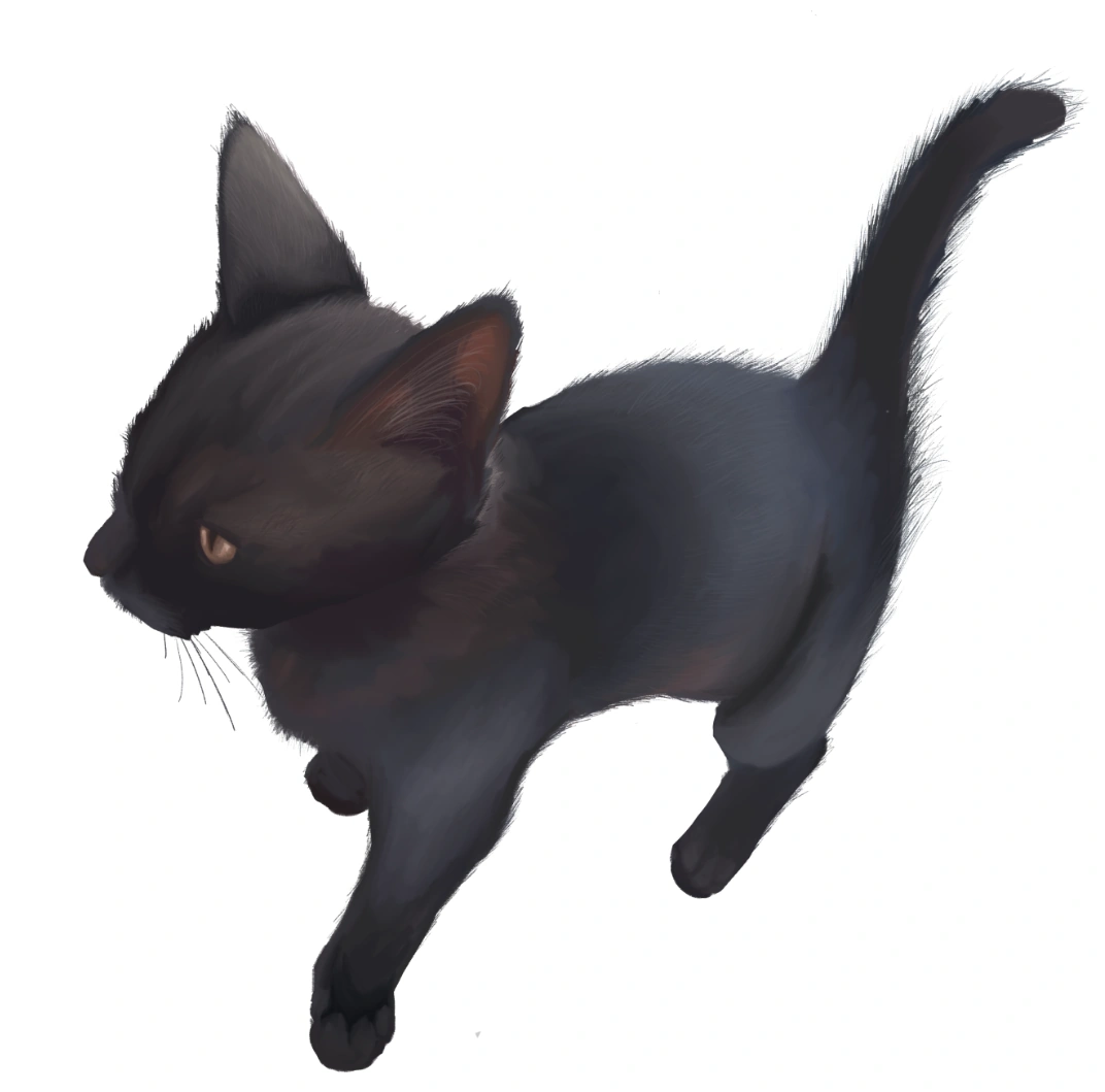 Kitten Art Fandom