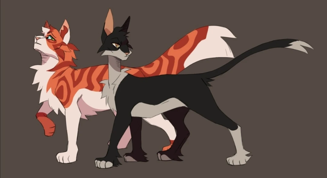 Картинки коты воители быстролап