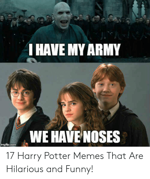 Harry Potter Memes  Try not to Smile 