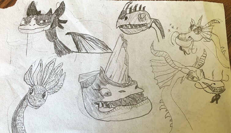 how to train your dragon dragons drawings