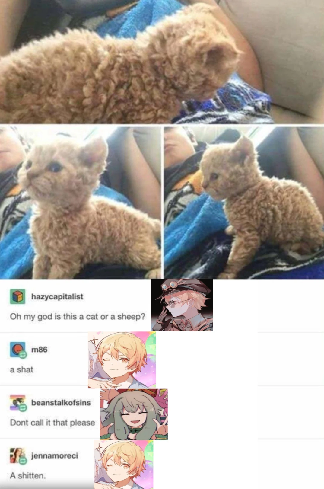 i-felt-like-making-this-fandom