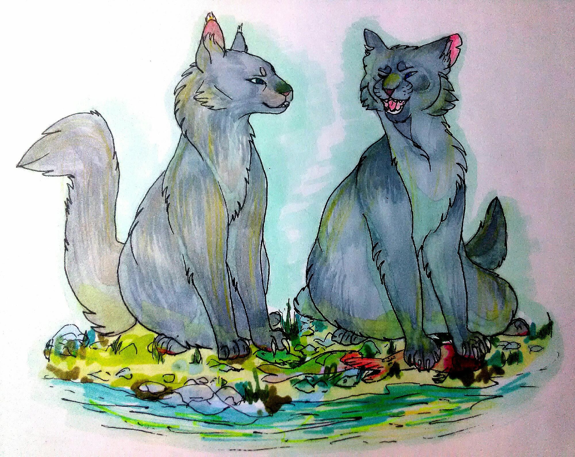 Коты воители камень картинки