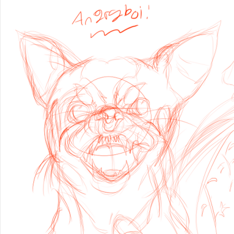 So I Drew An Angry Chihuahua It A Dragon Fandom