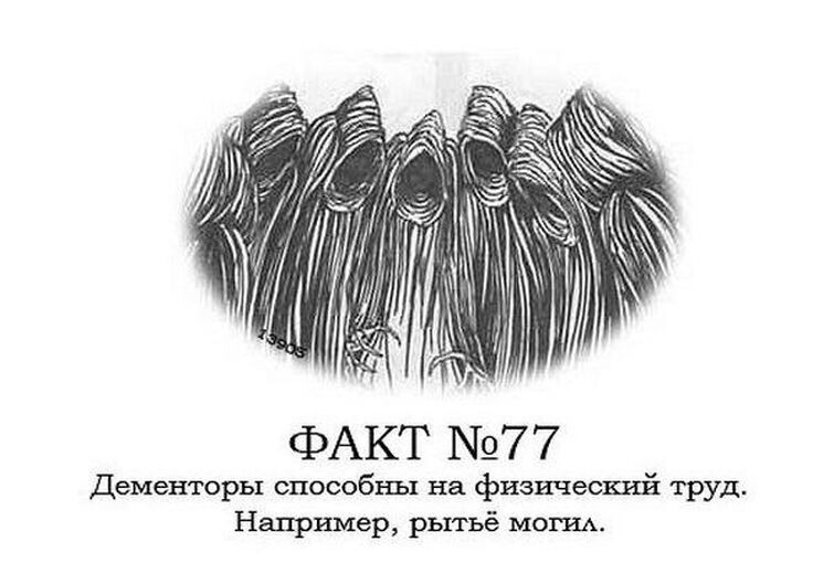 Поттер факты. Интересные факты о Дементорах. Интересные факты о Хогвартсе. 10 Фактов о Гарри Поттере. Хогвартс интересные факты.