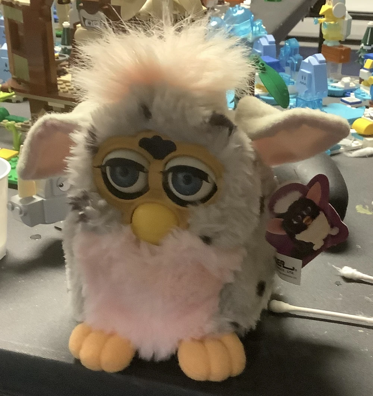 Fandom Image