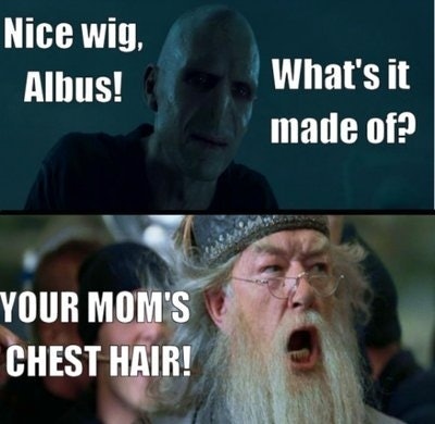 dumbledore goblet of fire meme