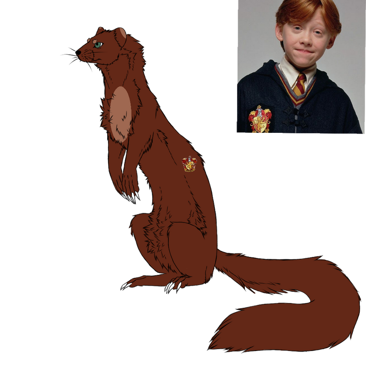 Fandom Image