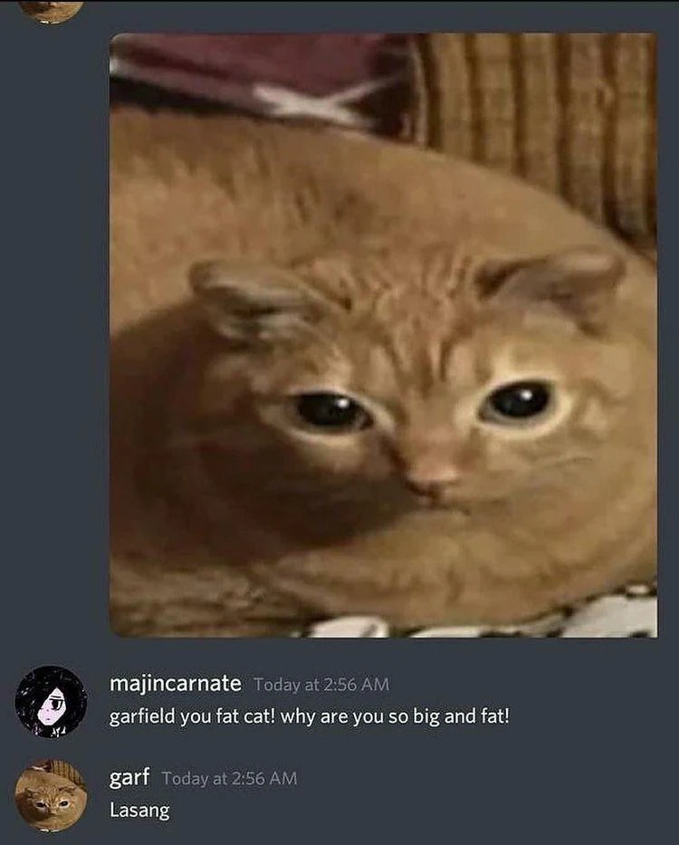 garfield you fat cat! why are you so big and fat! Fandom