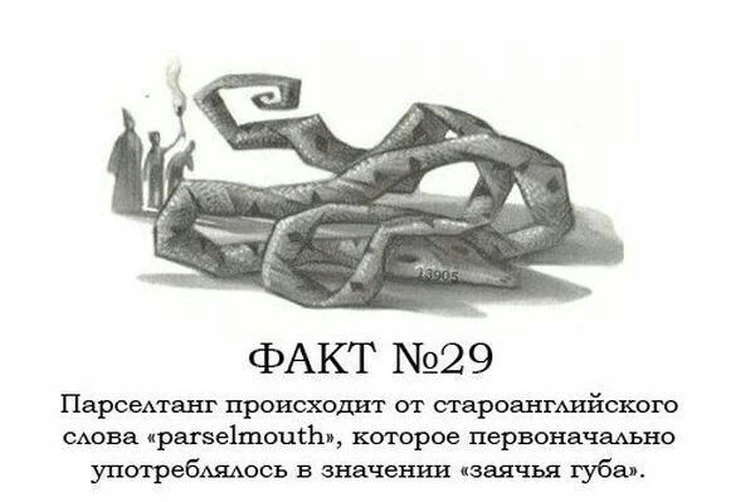 змеиный парселтанг гарри поттер. змеиный язык парселтанг алфавит. парселтанг гарри поттер. змей на парселтанге. парселтанг это.