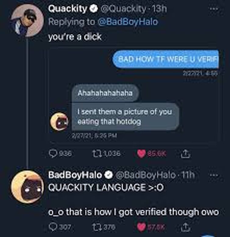 posting Quackity tweets | Fandom