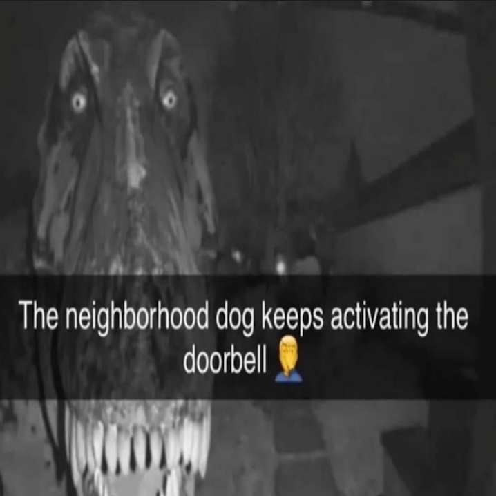 it-is-a-dog-right-fandom
