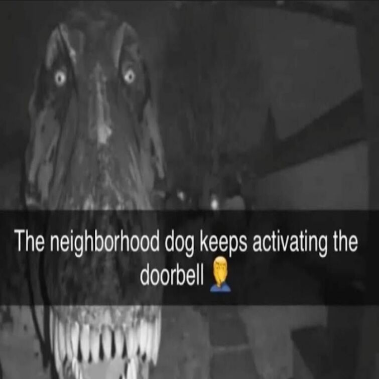 it-is-a-dog-right-fandom