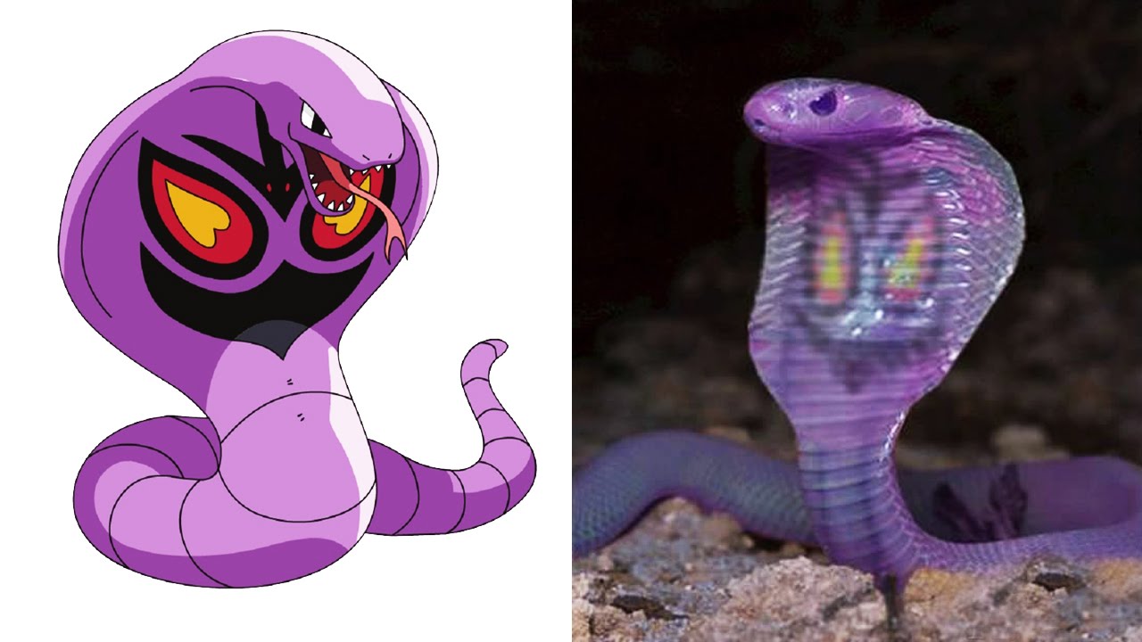 Как выглядит покемон в жизни Now we could touch Pokemon! Fandom