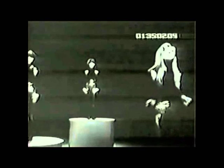 Shangri Las   Out In The Streets 1965