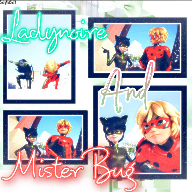 misternoire fandom