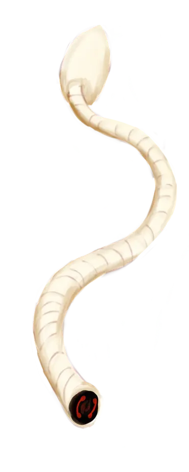 Discuss Everything About The Sonic Oddities Wiki | Fandom