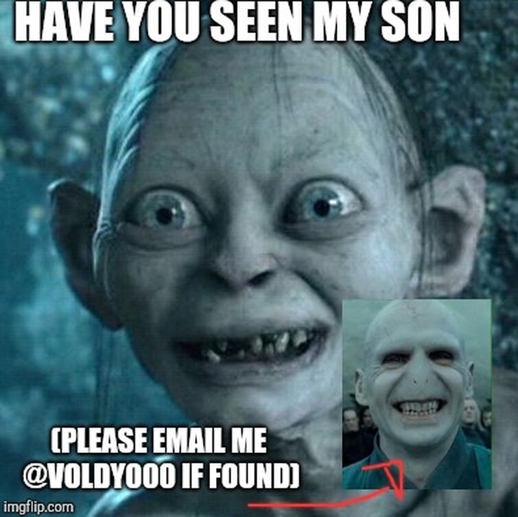 Image tagged in memes,harry potter,voldemort - Imgflip