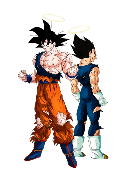 Goku and Vegeta SSJ Blue by ksuke