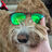 SpookyFries64's avatar