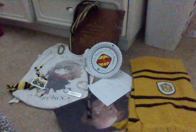 Fandom Image