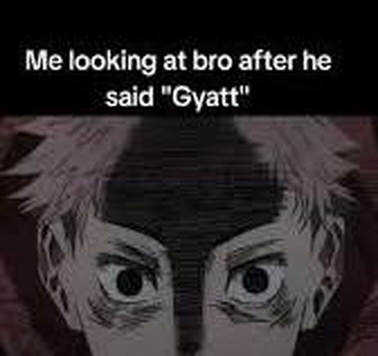 YUJI MEMES, BECAUSE WHY NOT? Fandom