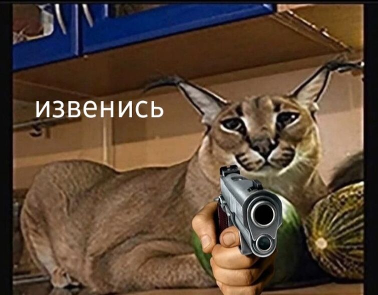 Как выглядит шлепа в реальной жизни