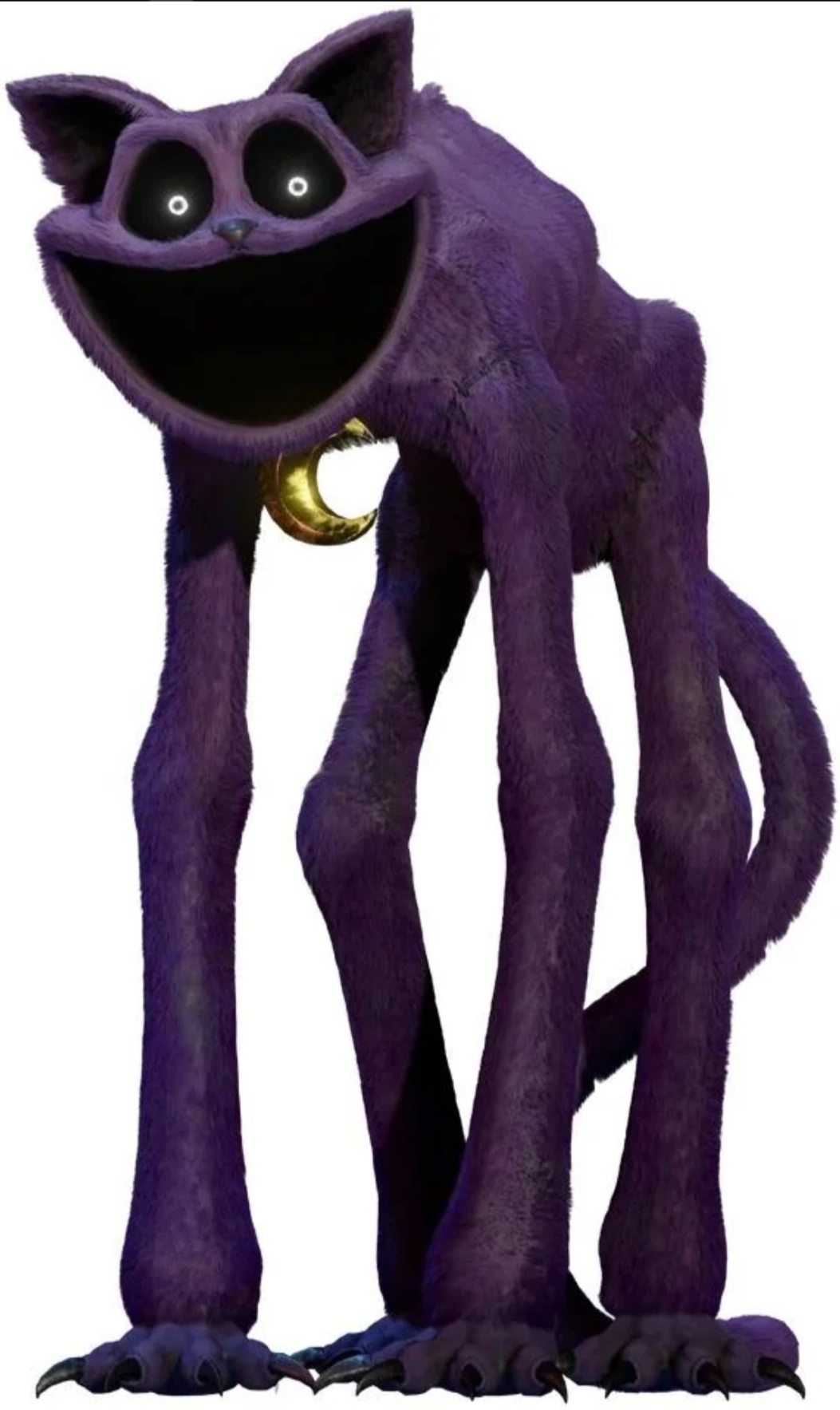 I love cats, sleeping, and I absolutely LOOOOOOOOVEEEE the color purple ...