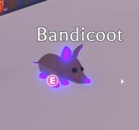 Trading Mega Neon Bandicoot 3 Fandom - roblox adopt me pets bandicoot