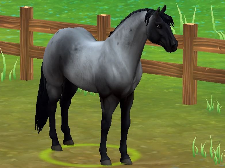 SSO Horses AQH Fandom