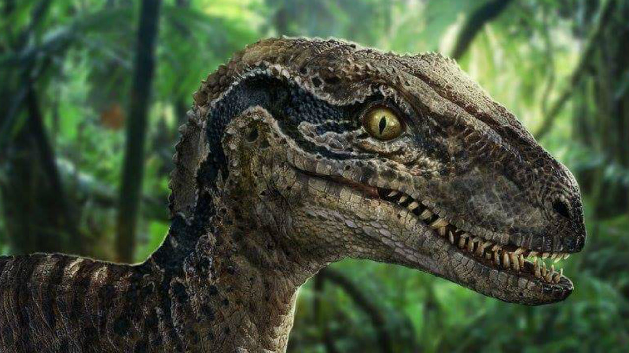 Jurassic throwback: Raptors to wear dinosaur throwback uniforms