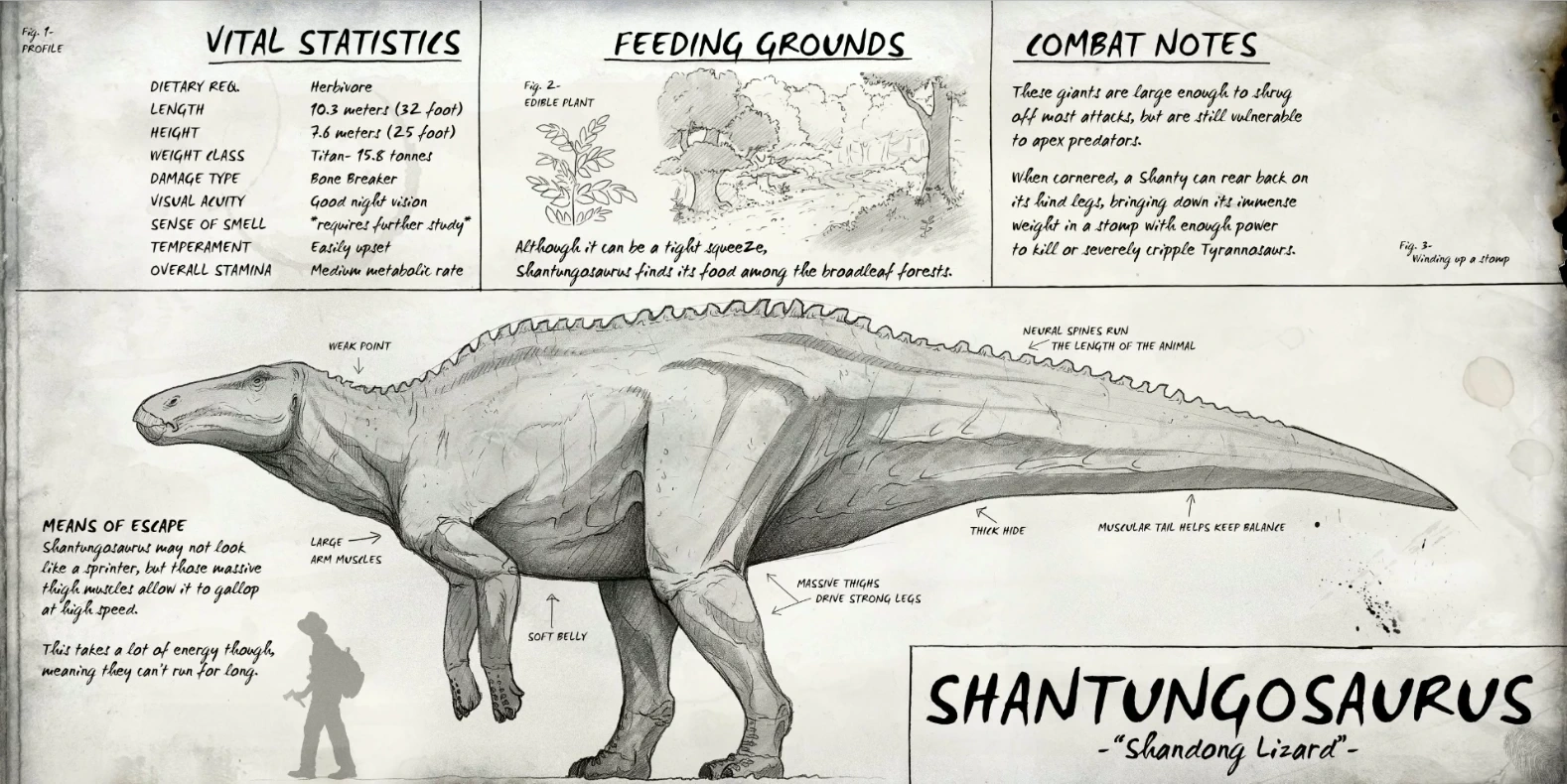 Shantungosaurus Fandom