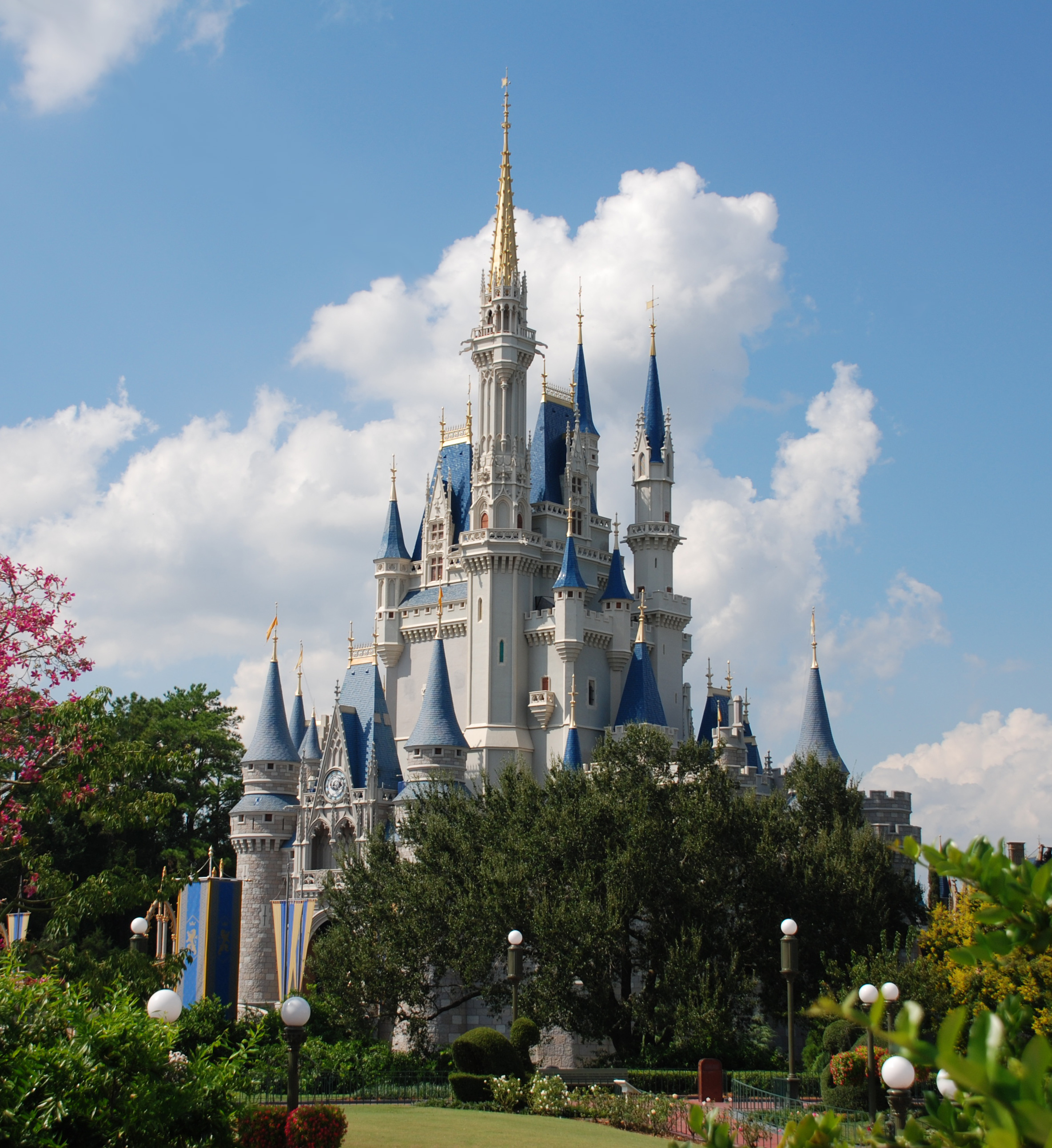 Magic Kingdom Princess Pictures Wiki Fandom