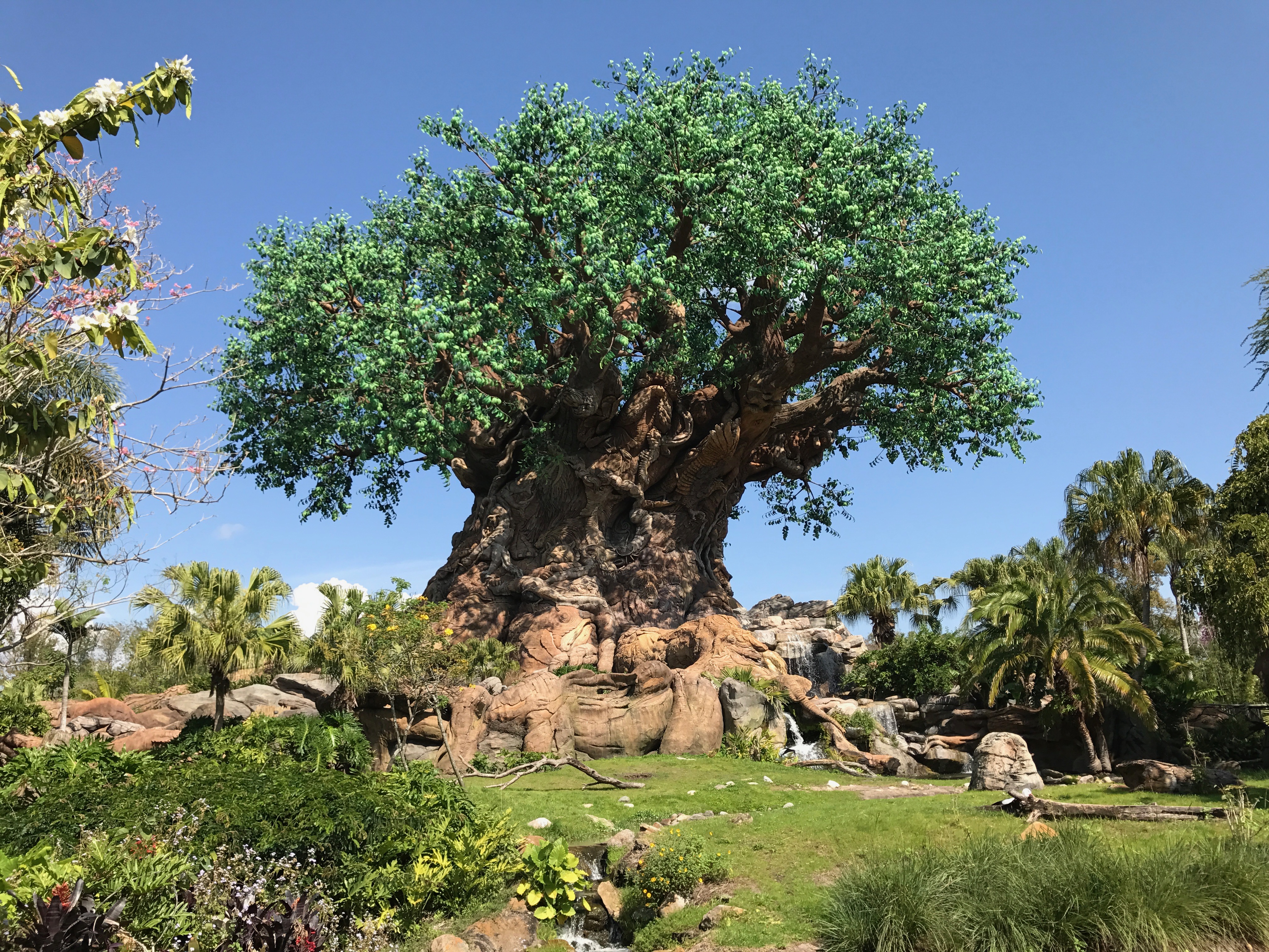 Disney S Animal Kingdom Princess Pictures Wiki Fandom