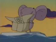 Galooth washed out to sea