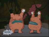 Horvak krumm