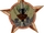 Badge-category-1.png