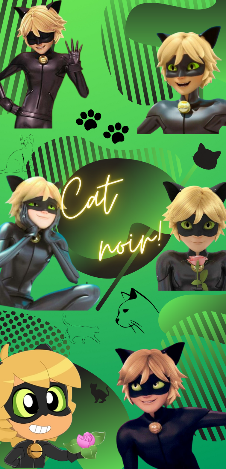 I Made A Cat Noir Wallpaper It S Meow Tiful Fandom