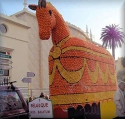 (©Editie Dendermonde