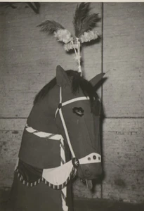 (©CD-ROM 'De 75 Stoeten van Aalst' - DAK - foto H