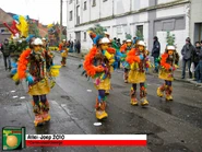 (©Carnavalaalstkoentje)