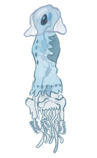WVv0V.png