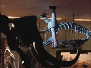 Wrong-trousers-disneyscreencaps.com-2502.webp (60 KB) Creature Comforts Brazilian mountain lion in The Wrong Trousers.