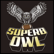 SuperbOwl1-20-2015-2