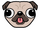 Pug 2.png