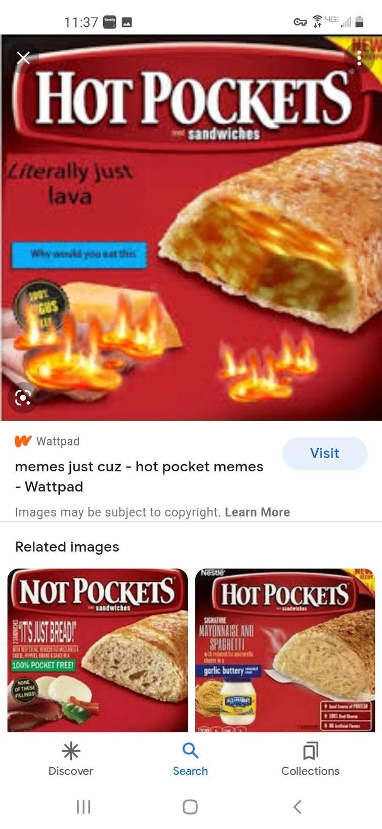 Hot pocket memes Fandom