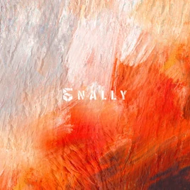 AB6IX 5nally album cover